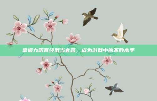 掌握九阴真经武当套路，成为游戏中的不败高手