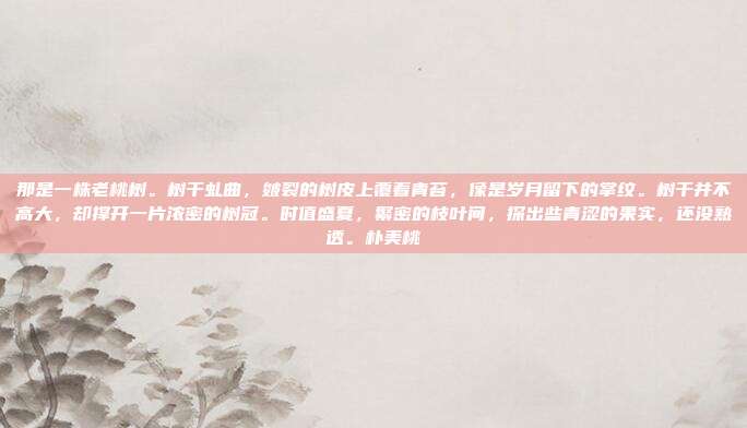 那是一株老桃树。树干虬曲，皴裂的树皮上覆着青苔，像是岁月留下的掌纹。树干并不高大，却撑开一片浓密的树冠。时值盛夏，繁密的枝叶间，探出些青涩的果实，还没熟透。朴美桃