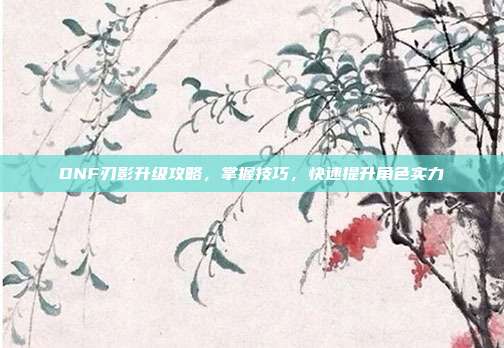 DNF刃影升级攻略,掌握技巧,快速提升角色实力