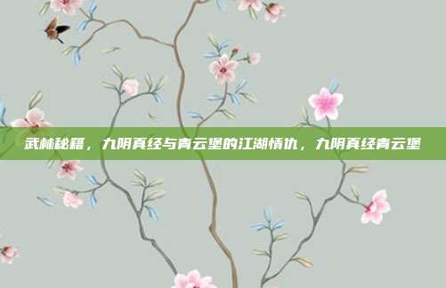武林秘籍，九阴真经与青云堡的江湖情仇，九阴真经青云堡