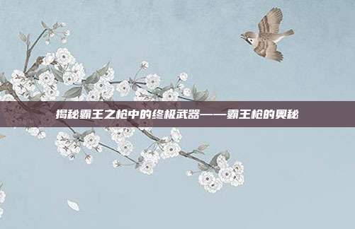 揭秘霸王之枪中的终极武器——霸王枪的奥秘