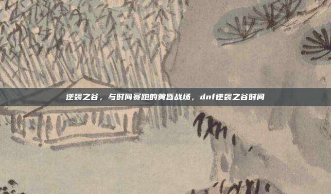 逆袭之谷，与时间赛跑的黄昏战场，dnf逆袭之谷时间