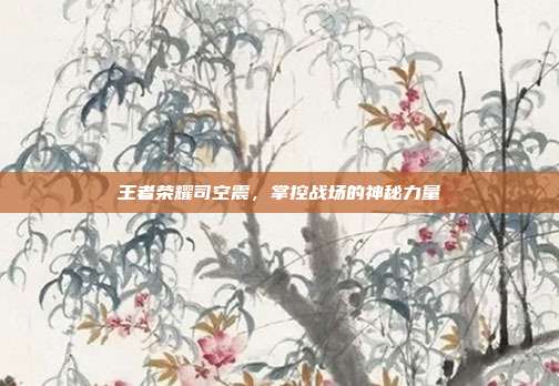 王者荣耀司空震,掌控战场的神秘力量