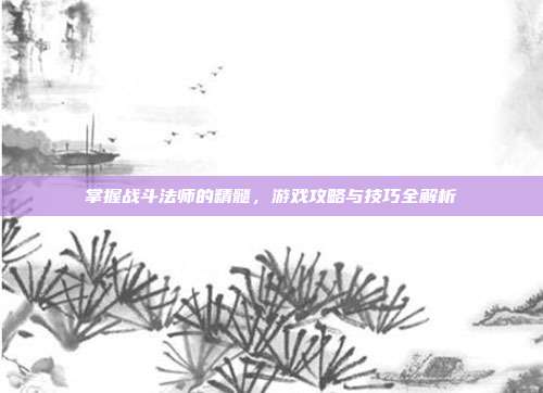 掌握战斗法师的精髓，游戏攻略与技巧全解析