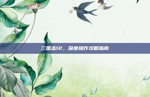 三国志12,深度操作攻略指南