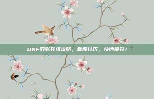 DNF刃影升级攻略，掌握技巧，快速提升！