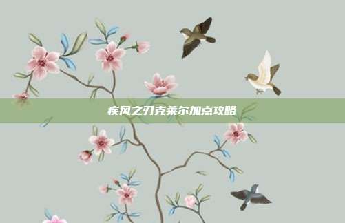 疾风之刃克莱尔加点攻略