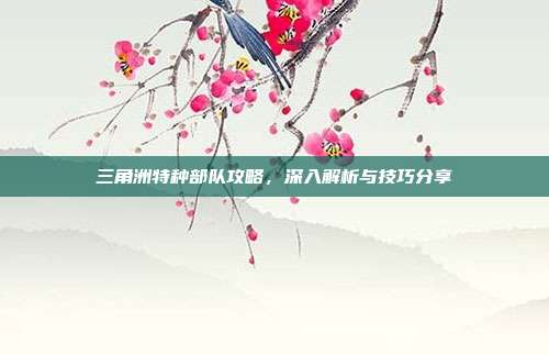 三角洲特种部队攻略,深入解析与技巧分享