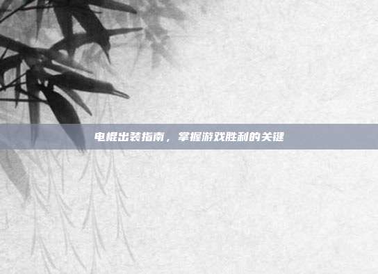 电棍出装指南，掌握游戏胜利的关键