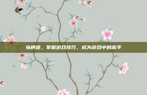 纵横道,掌握游戏技巧,成为游戏中的高手