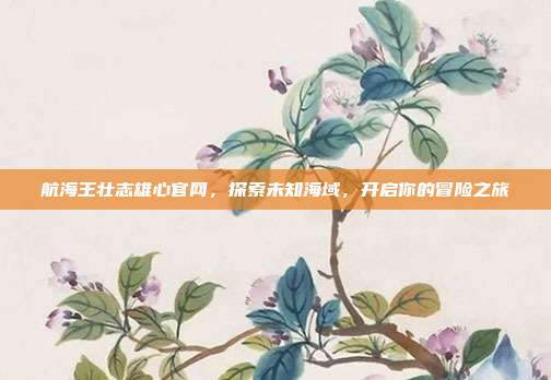 航海王壮志雄心官网，探索未知海域，开启你的冒险之旅