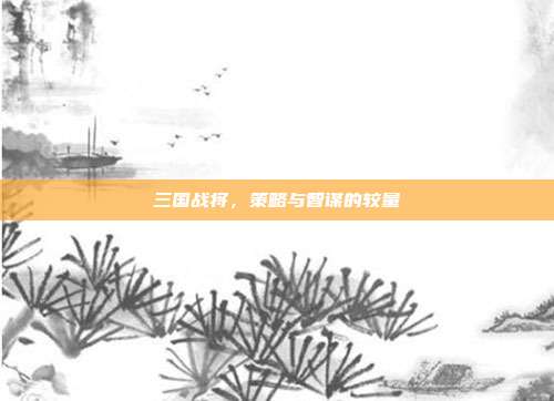 三国战将,策略与智谋的较量
