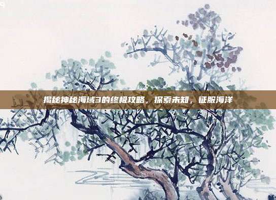 揭秘神秘海域3的终极攻略,探索未知,征服海洋