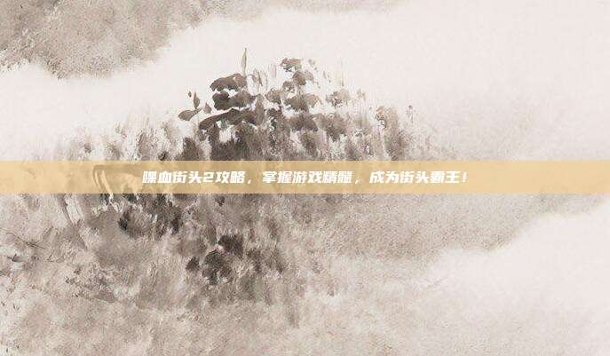 喋血街头2攻略，掌握游戏精髓，成为街头霸王！