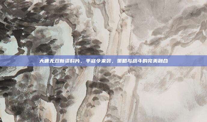 大唐无双新资料片,平寇令来袭,策略与战斗的完美融合