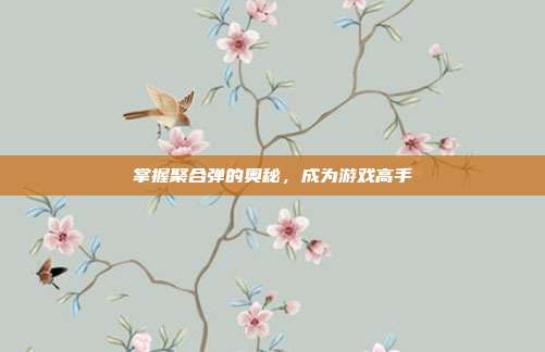 掌握聚合弹的奥秘，成为游戏高手