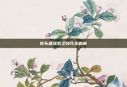 街头篮球后卫技巧全解析