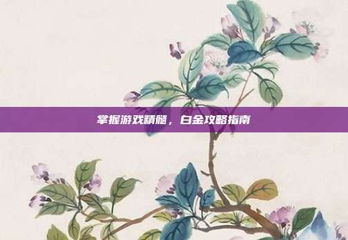 掌握游戏精髓，白金攻略指南