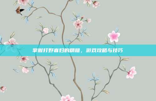 掌握打野寡妇的精髓,游戏攻略与技巧