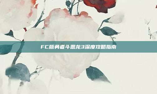FC版勇者斗恶龙3深度攻略指南