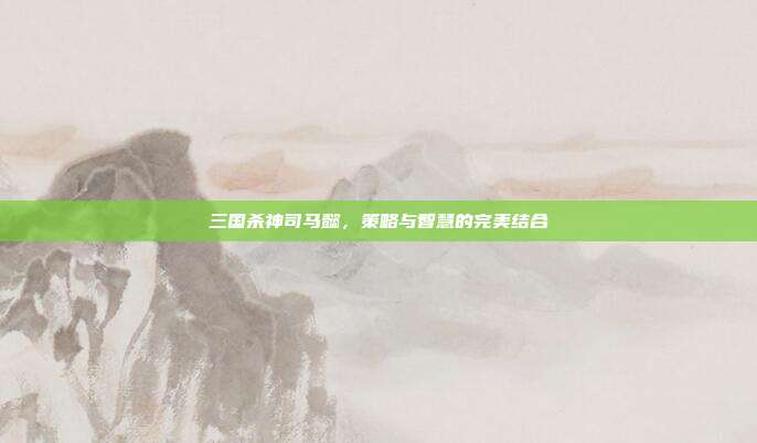 三国杀神司马懿,策略与智慧的完美结合