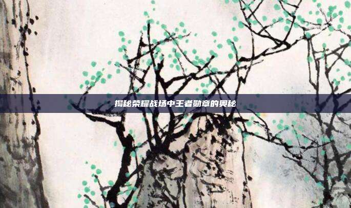揭秘荣耀战场中王者勋章的奥秘