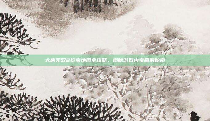 大唐无双2挖宝地图全攻略,揭秘游戏内宝藏的秘密