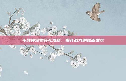 斗战神宠物开孔攻略，提升战力的秘密武器