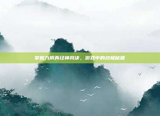 掌握九阴真经神风诀，游戏中的终极秘籍