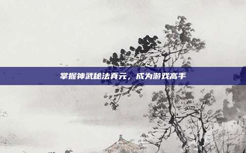 掌握神武秘法真元，成为游戏高手