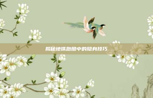揭秘地铁跑酷中的隐身技巧