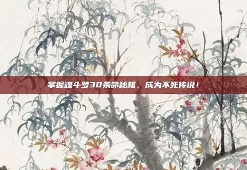 掌握魂斗罗30条命秘籍，成为不死传说！