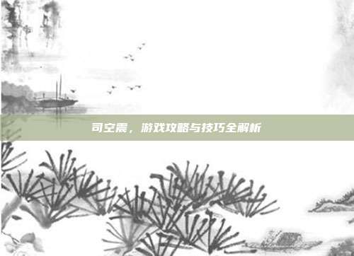 司空震，游戏攻略与技巧全解析