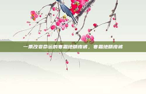 一条改变命运的寒霜地精皮裤，寒霜地精皮裤