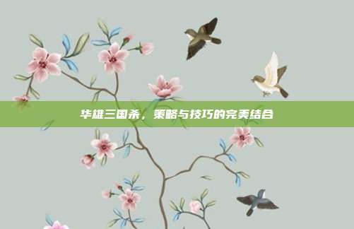 华雄三国杀，策略与技巧的完美结合