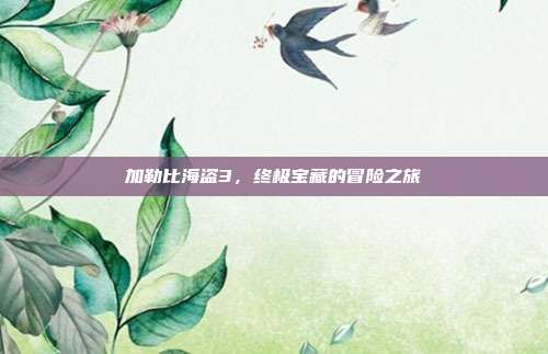 加勒比海盗3，终极宝藏的冒险之旅