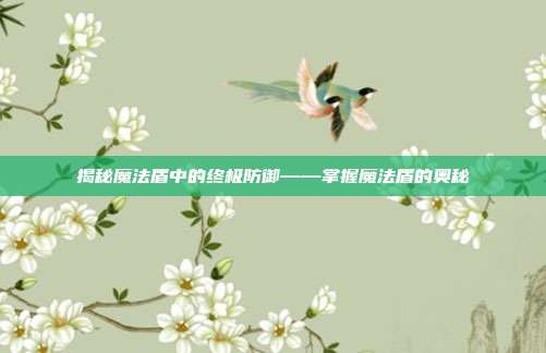 揭秘魔法盾中的终极防御——掌握魔法盾的奥秘