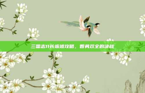 三国志11长坂坡攻略，智勇双全的决战