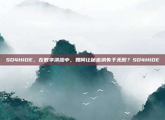 SD4HIDE，在数字洪流中，如何让秘密消失于无形？SD4HIDE