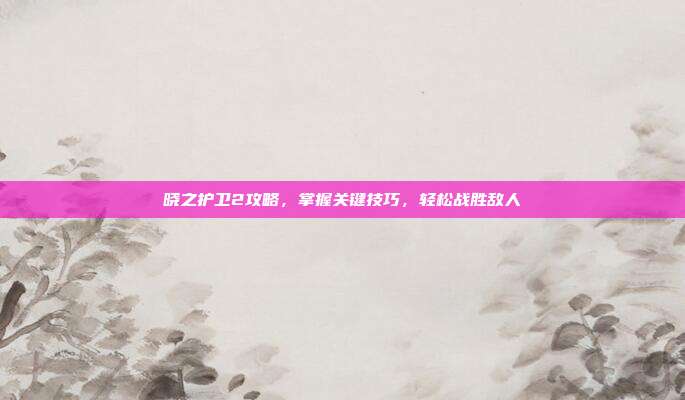 晓之护卫2攻略，掌握关键技巧，轻松战胜敌人