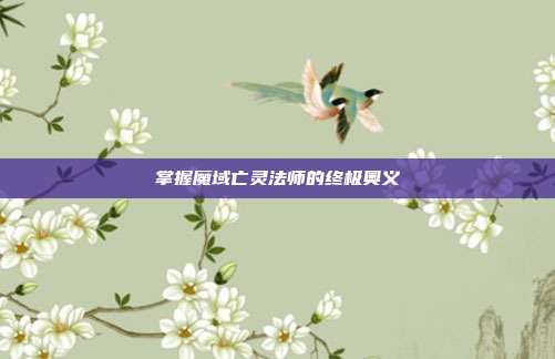 掌握魔域亡灵法师的终极奥义