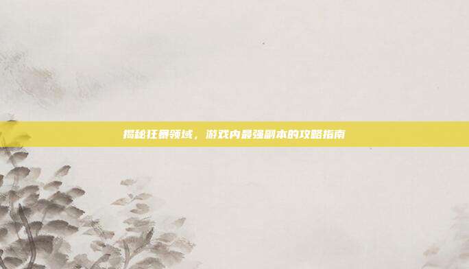 揭秘狂暴领域，游戏内最强副本的攻略指南
