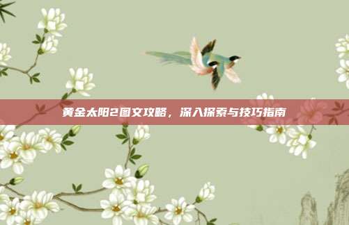 黄金太阳2图文攻略,深入探索与技巧指南