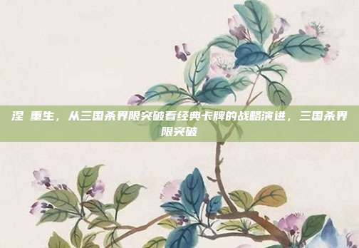 涅槃重生,从三国杀界限突破看经典卡牌的战略演进,三国杀界限突破