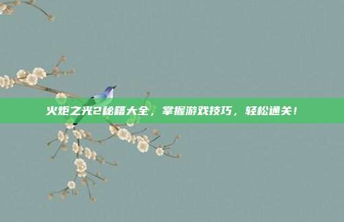 火炬之光2秘籍大全，掌握游戏技巧，轻松通关！