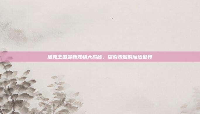 洛克王国最新宠物大揭秘，探索未知的魔法世界