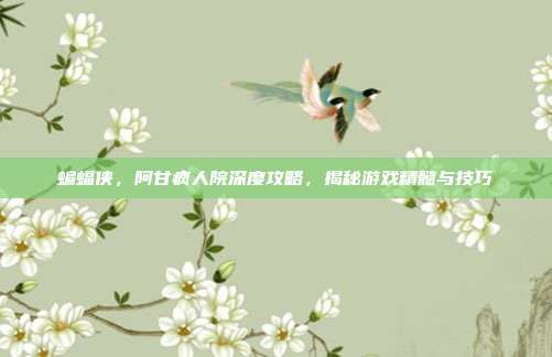 蝙蝠侠,阿甘疯人院深度攻略,揭秘游戏精髓与技巧