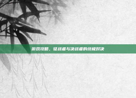 游戏攻略，征战者与决战者的终极对决