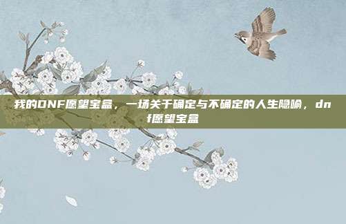 我的DNF愿望宝盒,一场关于确定与不确定的人生隐喻,dnf愿望宝盒