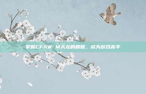 掌握CFAW M天龙的精髓，成为游戏高手
